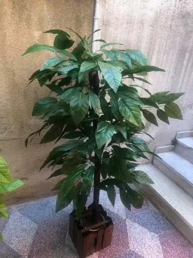 [IndoorDecor00037] IndoorDecor00037