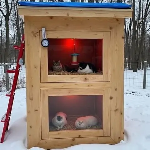 [IndoorDecor00041] IndoorDecor00041